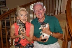 Moxie & Mojo american shorthair testimonial