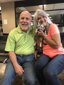 Catherine and Bacio American Shorthair Silver Tabby