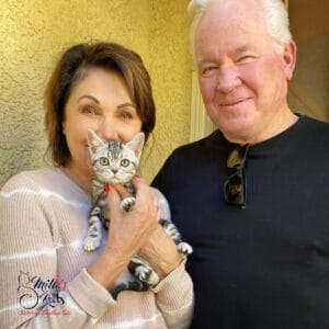 American Shorthair testimonial