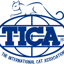 The International Cat Association
